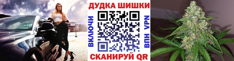 даркнет сайт  МЕГА ссылка  Бошки Шишки THC 21%  Каргополь 
